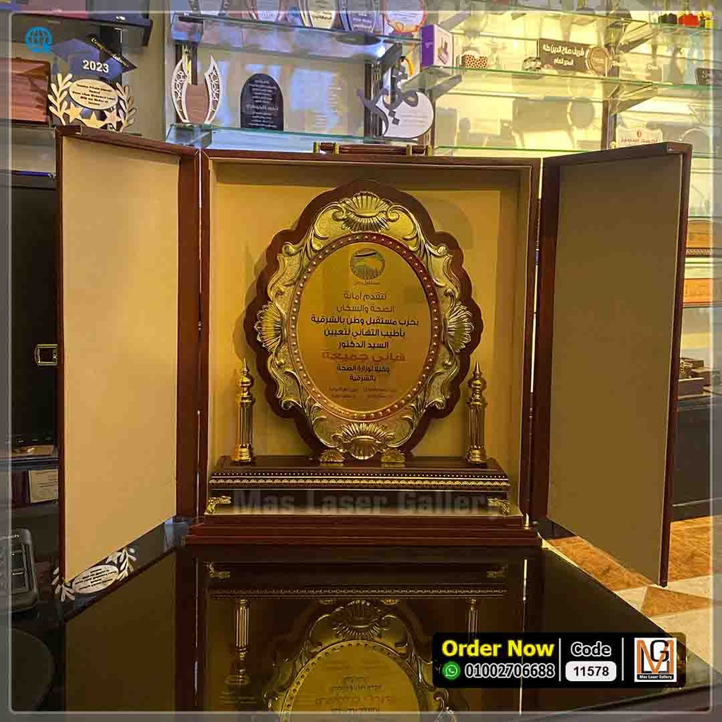 درع بيضاوى دولاب كبير  | 11578